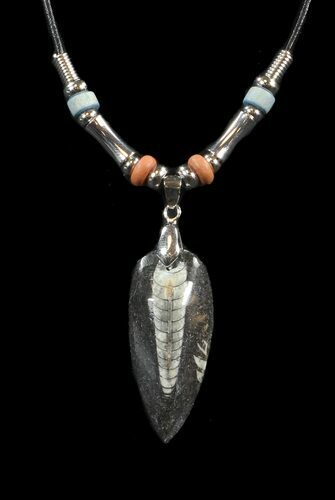 Fossil Orthoceras (Devonian Cephalopod) Necklace #43115